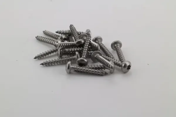 PEXT RVS Houtschroefset 5.30 - 50 st. Bolkop Torx RVS