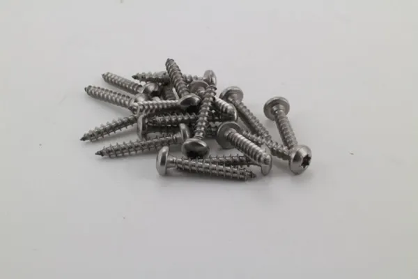 PEXT RVS Houtschroefset 5.30 - 20 st. Bolkop Torx RVS