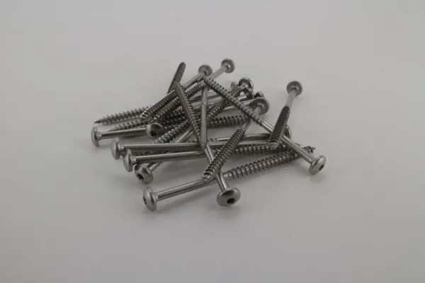 PEXT RVS Houtschroef - 6.100 - 10 st. Bolkop Torx RVS