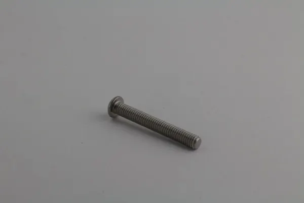 PEXT RVS Profielschroef M6.20 Bolkop Torx - tbv dwarsdeling 7mm RVS